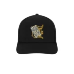 Rare HMDD Hat Black SnapBack