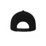 Rare HMDD Hat Black SnapBack (Back)