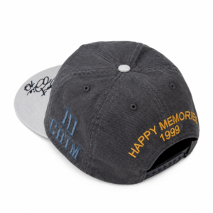 HMDD Basketball 3v3 Hat Back